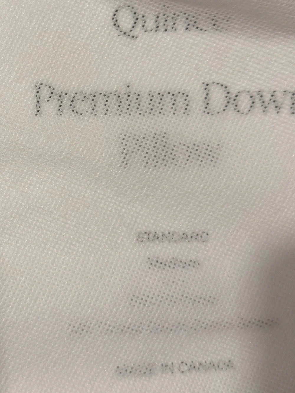 NWT QUINCE Premium Down Pillow Standard Medium Firmness